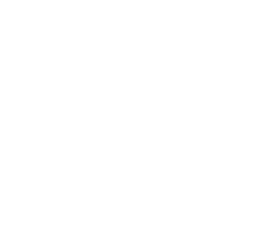 Leo Group